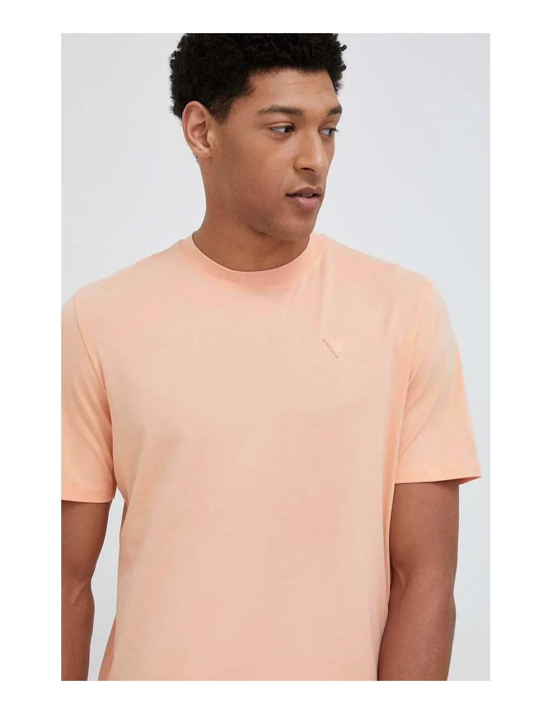 Camiseta con logo pequeño Hedley de Guess