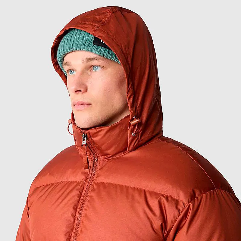 Chaqueta the north face Down Paralta Puffer