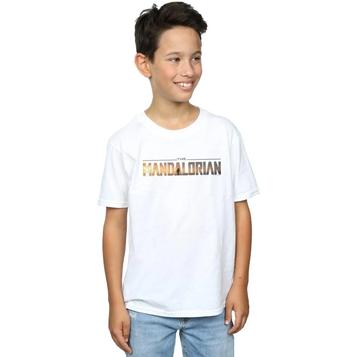 The Mandalorian Series Logo